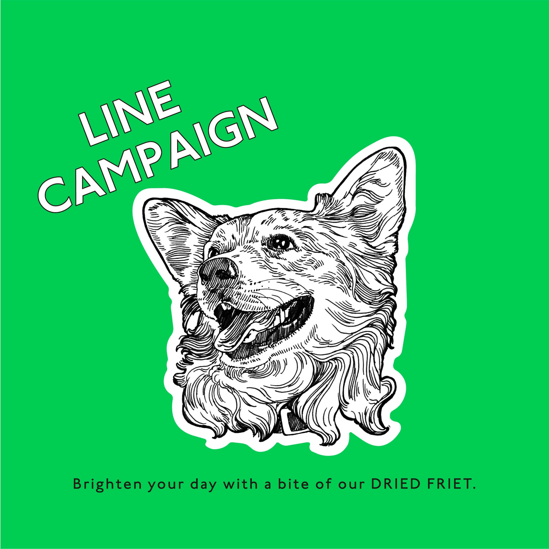 LINE CAMPAIGN　