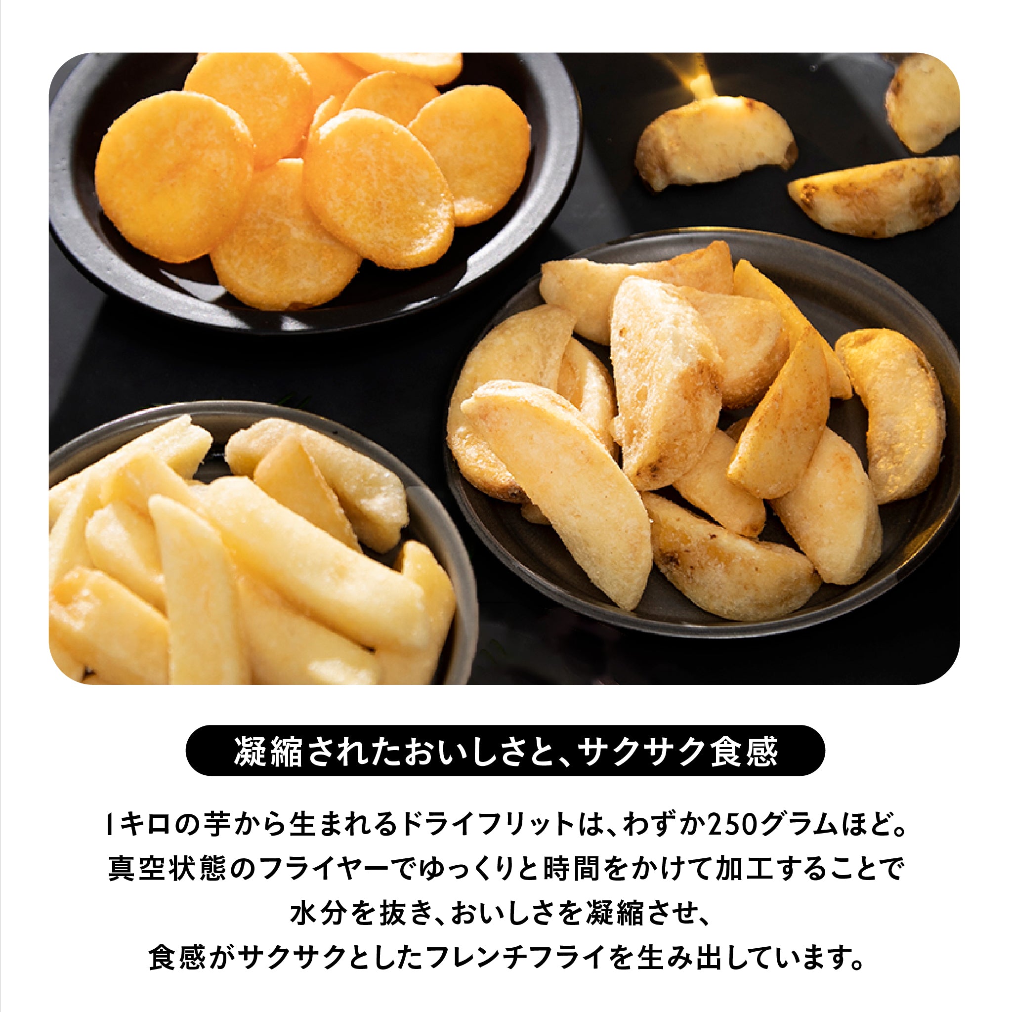 おもちゃ付：FLYING FRIETS SET｜アンド ザ フリット公式通販
